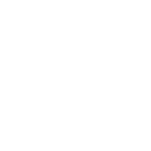Dubai-Police