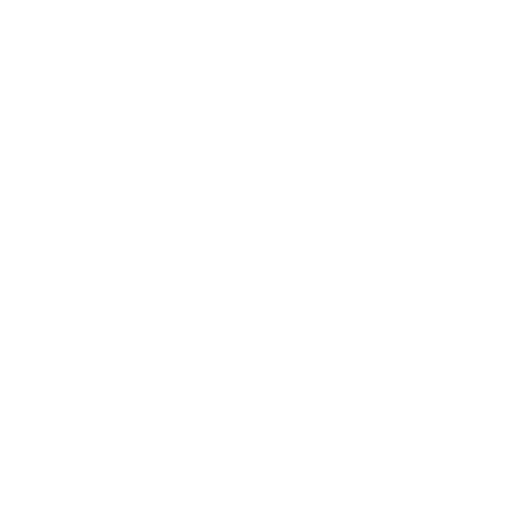 Smart-Salem